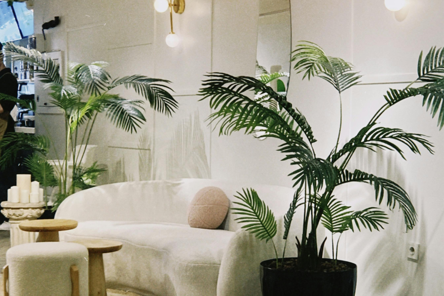 Biophilic Interior Design Punta Gorda, FL